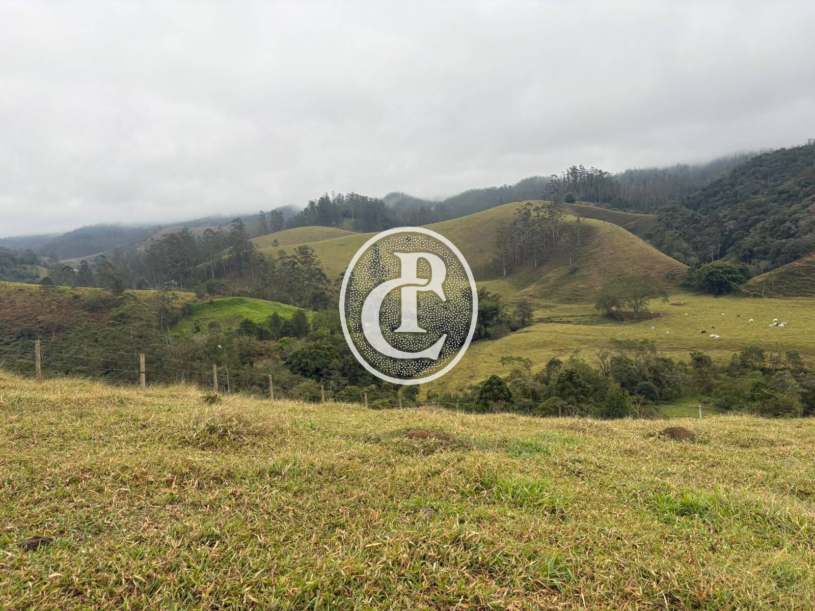 Terreno, 2 hectares - Foto 19