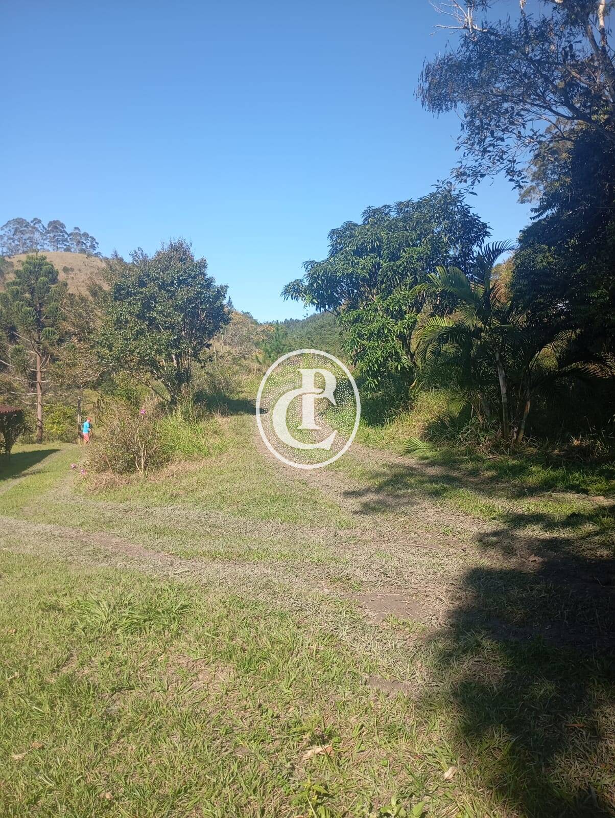 Sítio, 3 quartos, 100 m² - Foto 5