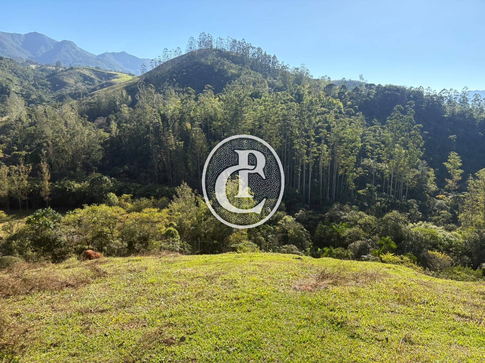 Sítio, 2 quartos, 13 hectares - Foto 4