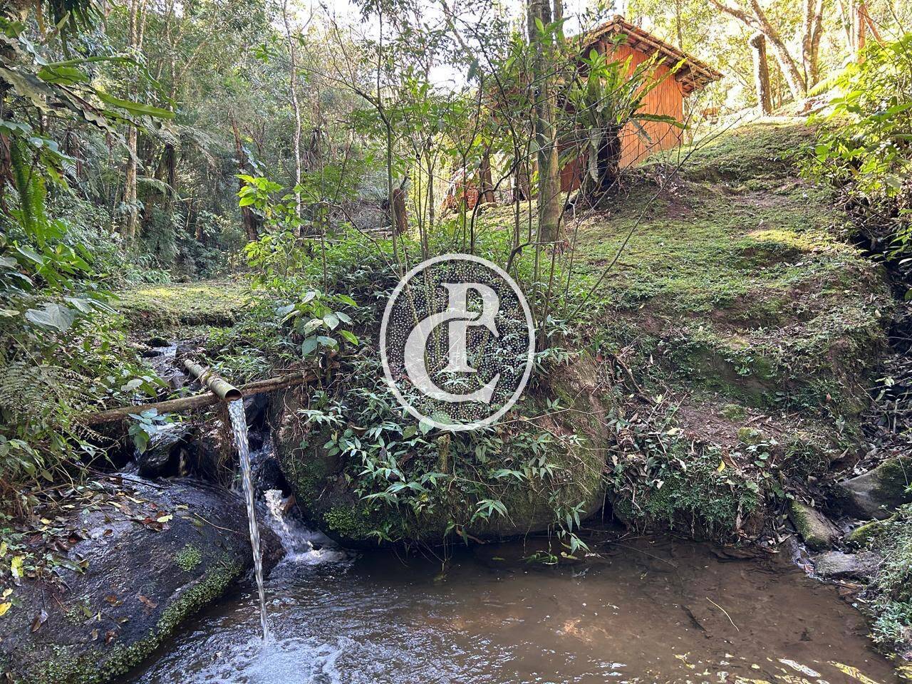 Sítio, 3 quartos, 25 hectares - Foto 15