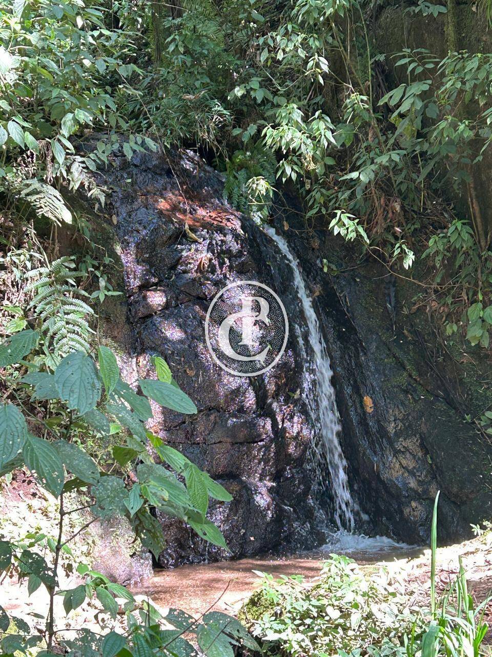 Sítio, 3 quartos, 25 hectares - Foto 17
