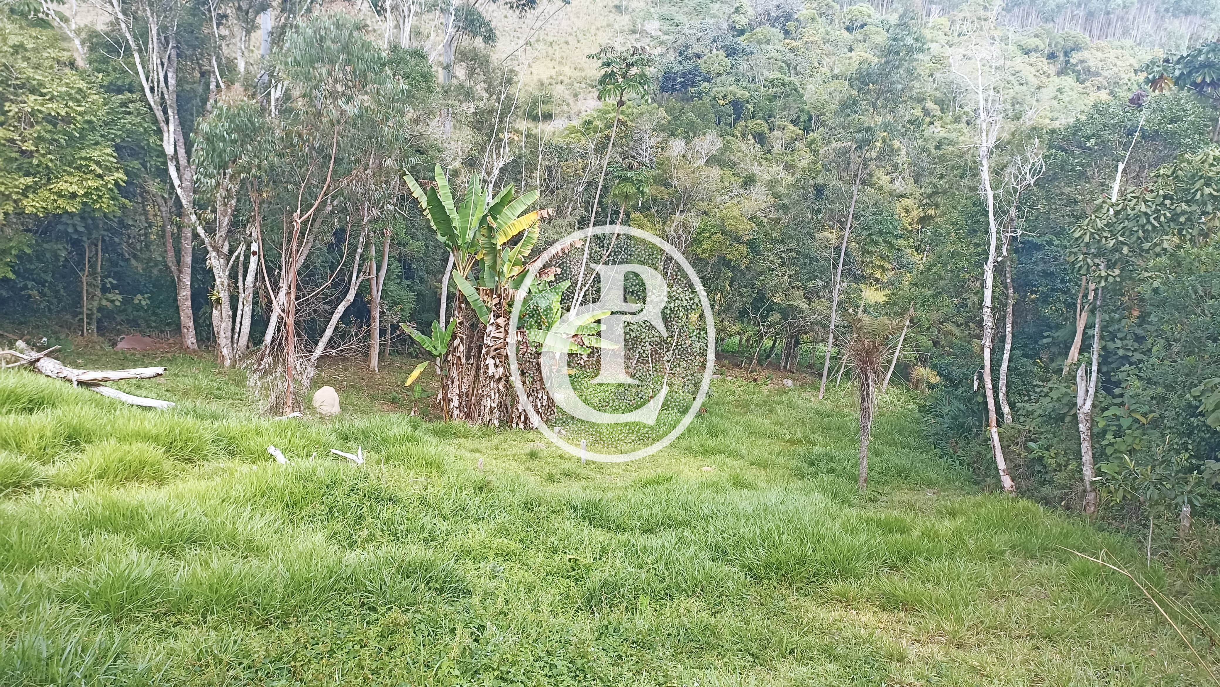 Chácara, 2 quartos, 3 hectares - Foto 4