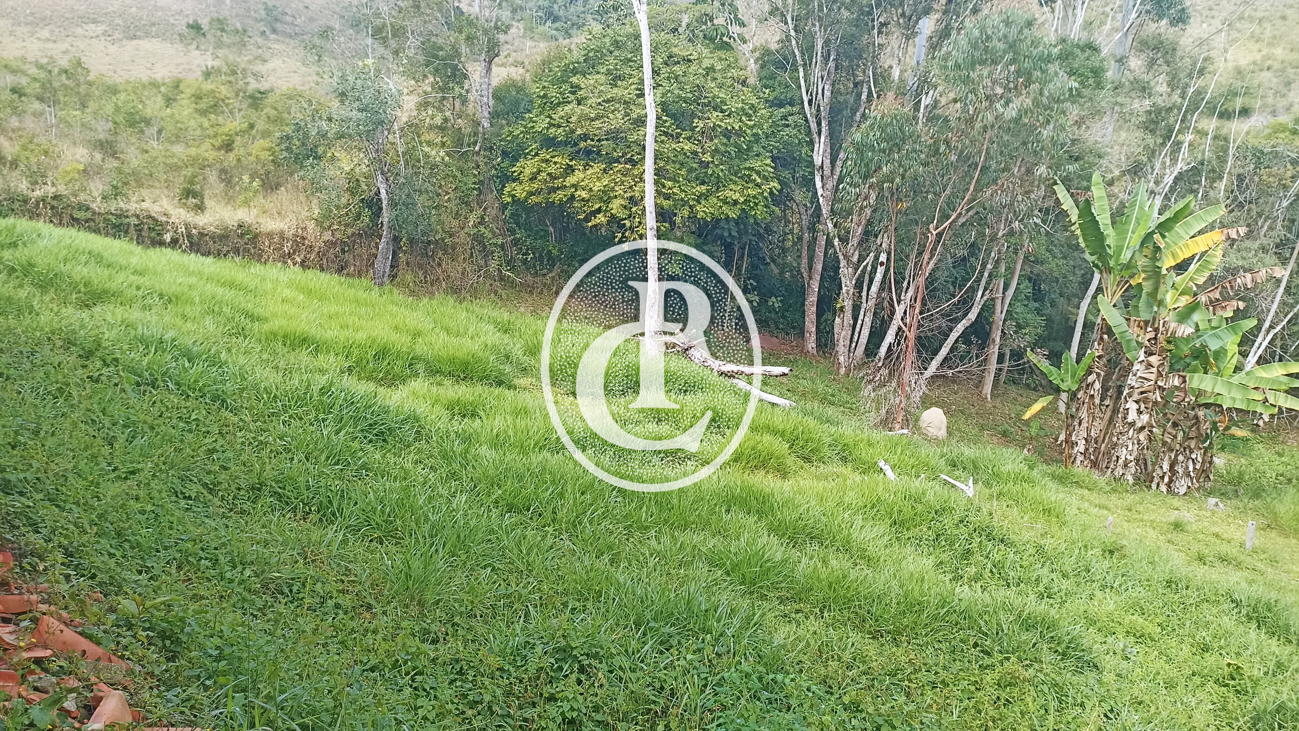 Chácara, 2 quartos, 3 hectares - Foto 3