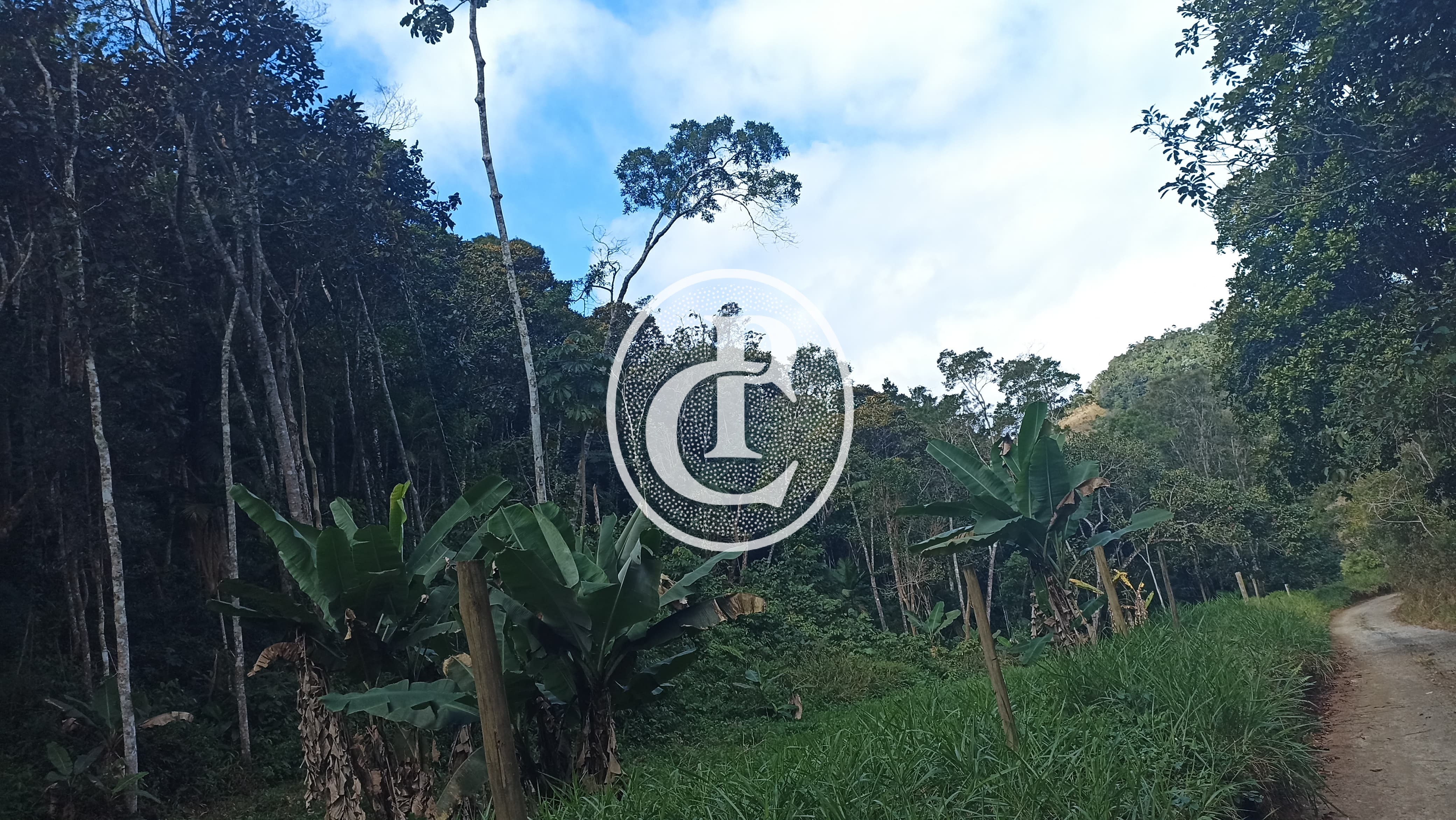 Chácara, 2 quartos, 3 hectares - Foto 12