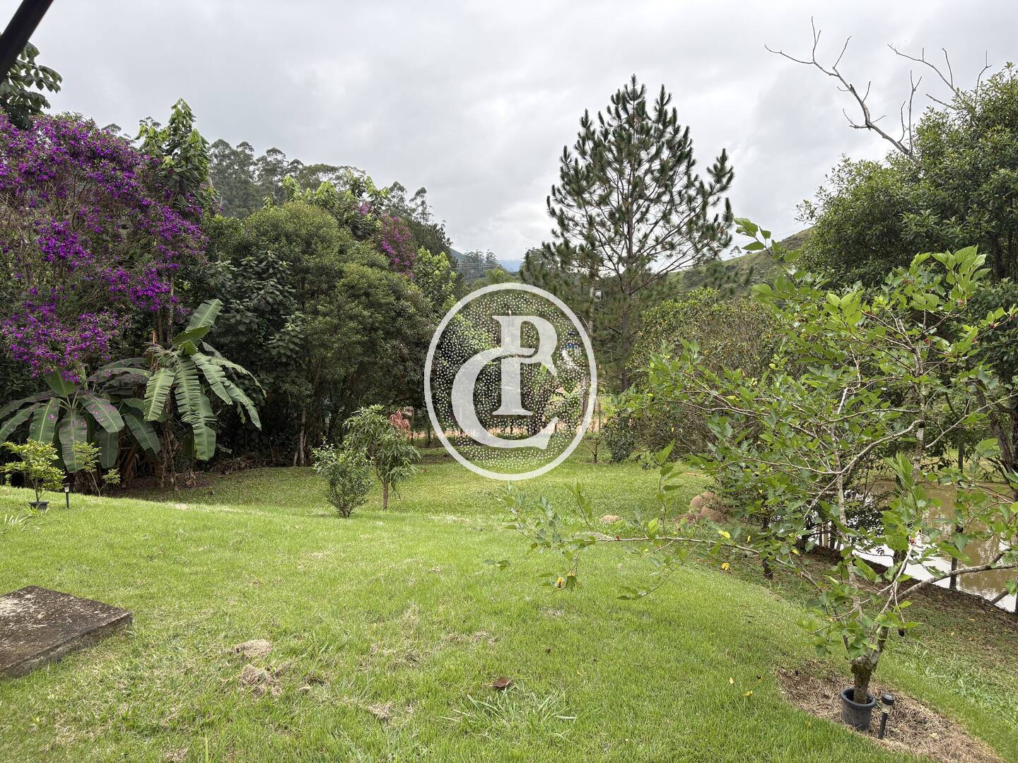 Sítio, 2 quartos, 2 hectares - Foto 4