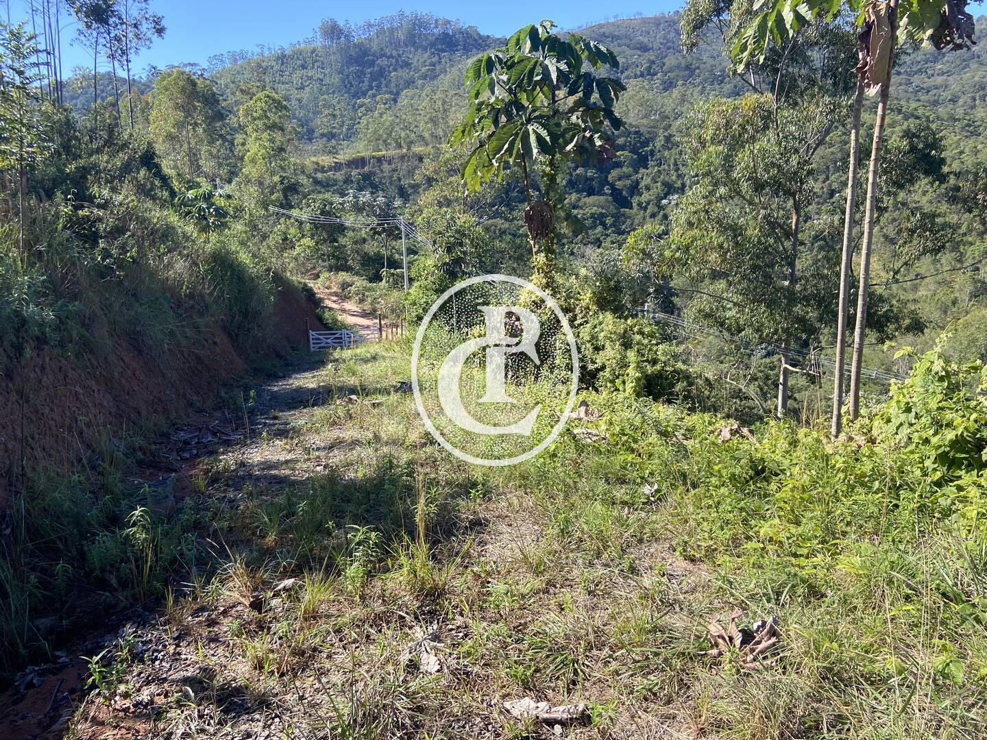 Terreno, 3 hectares - Foto 8
