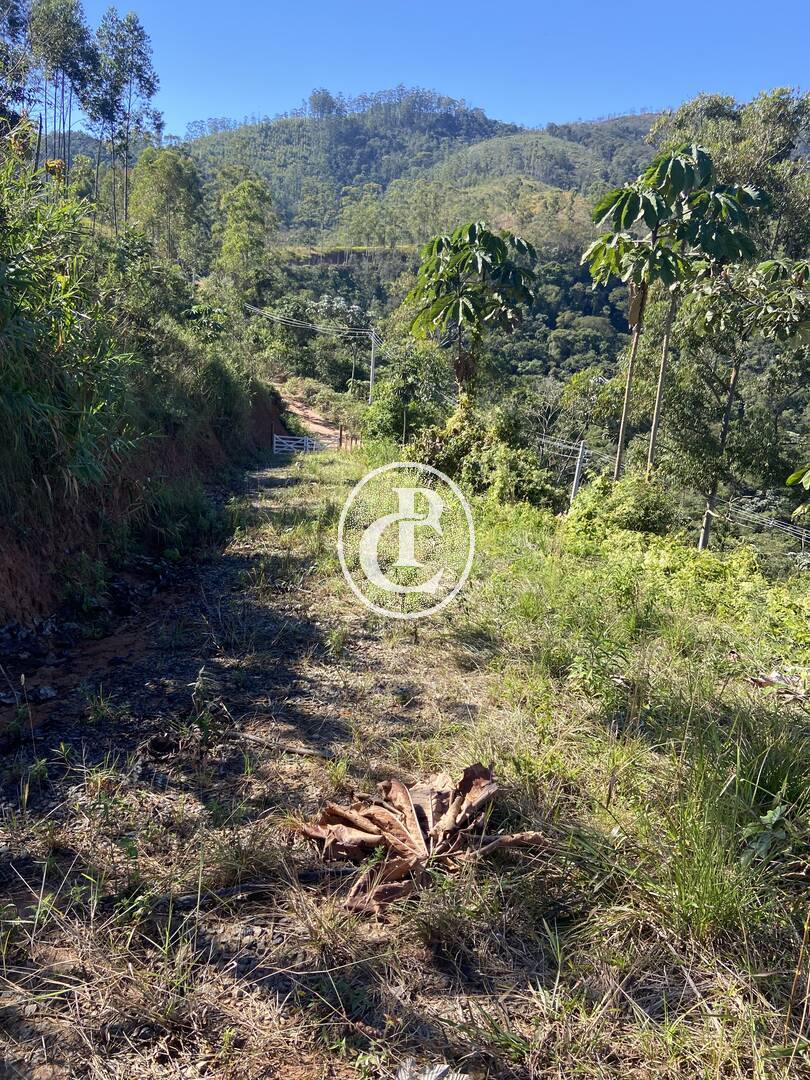 Terreno, 3 hectares - Foto 10