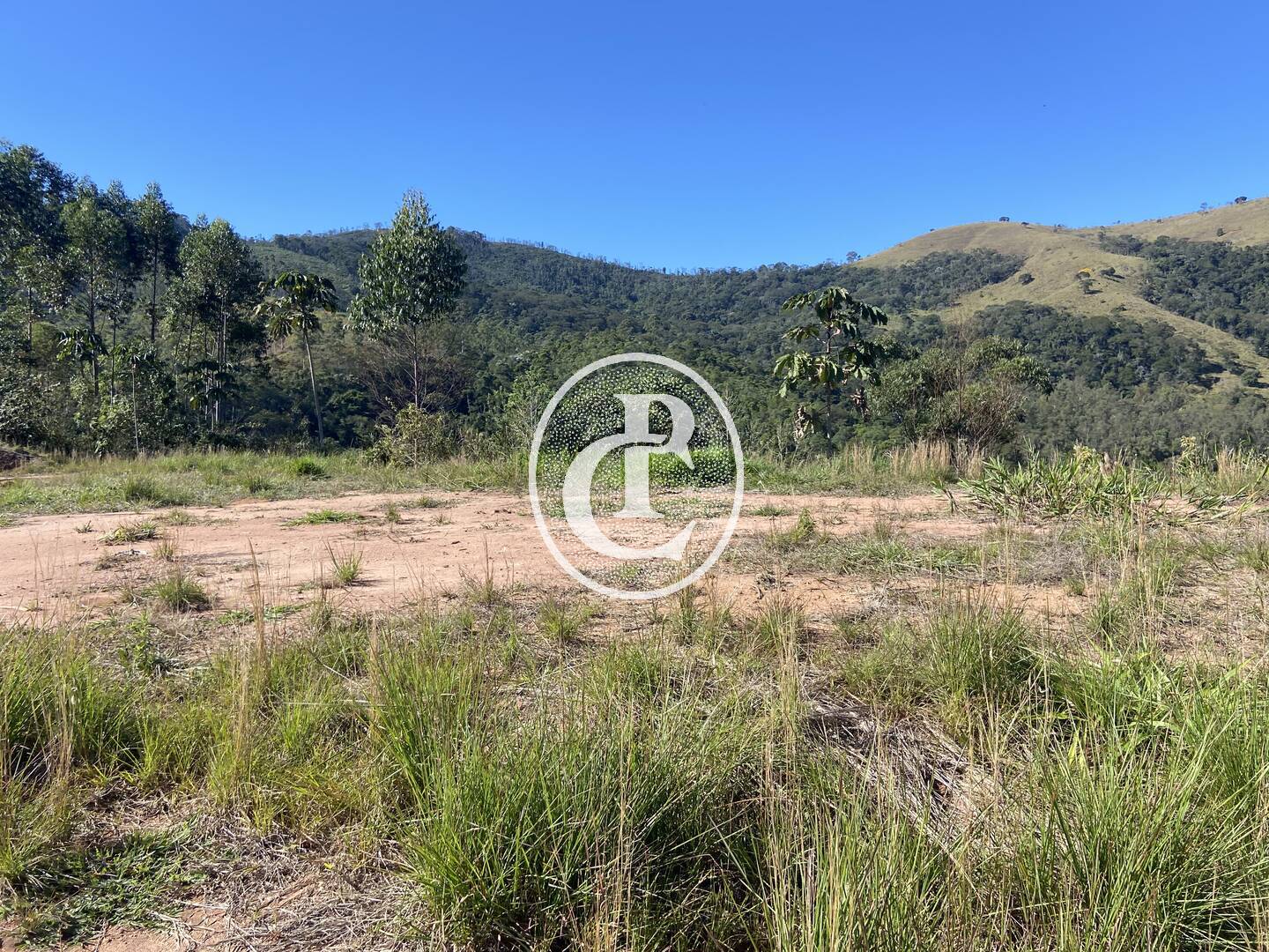 Terreno, 3 hectares - Foto 11