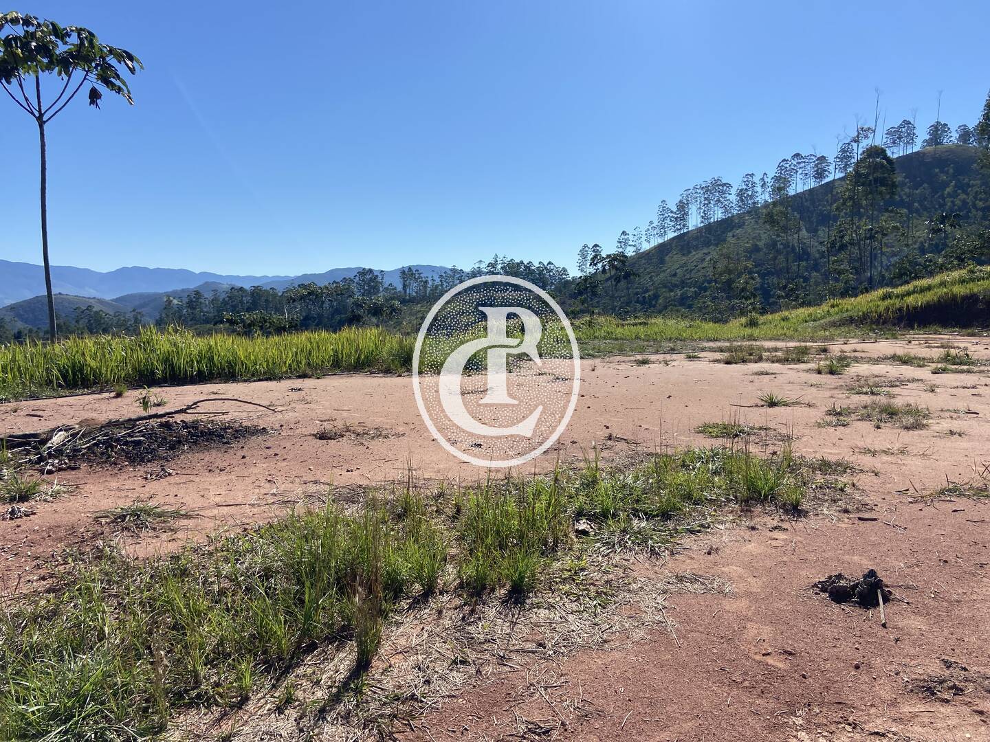 Terreno, 3 hectares - Foto 12