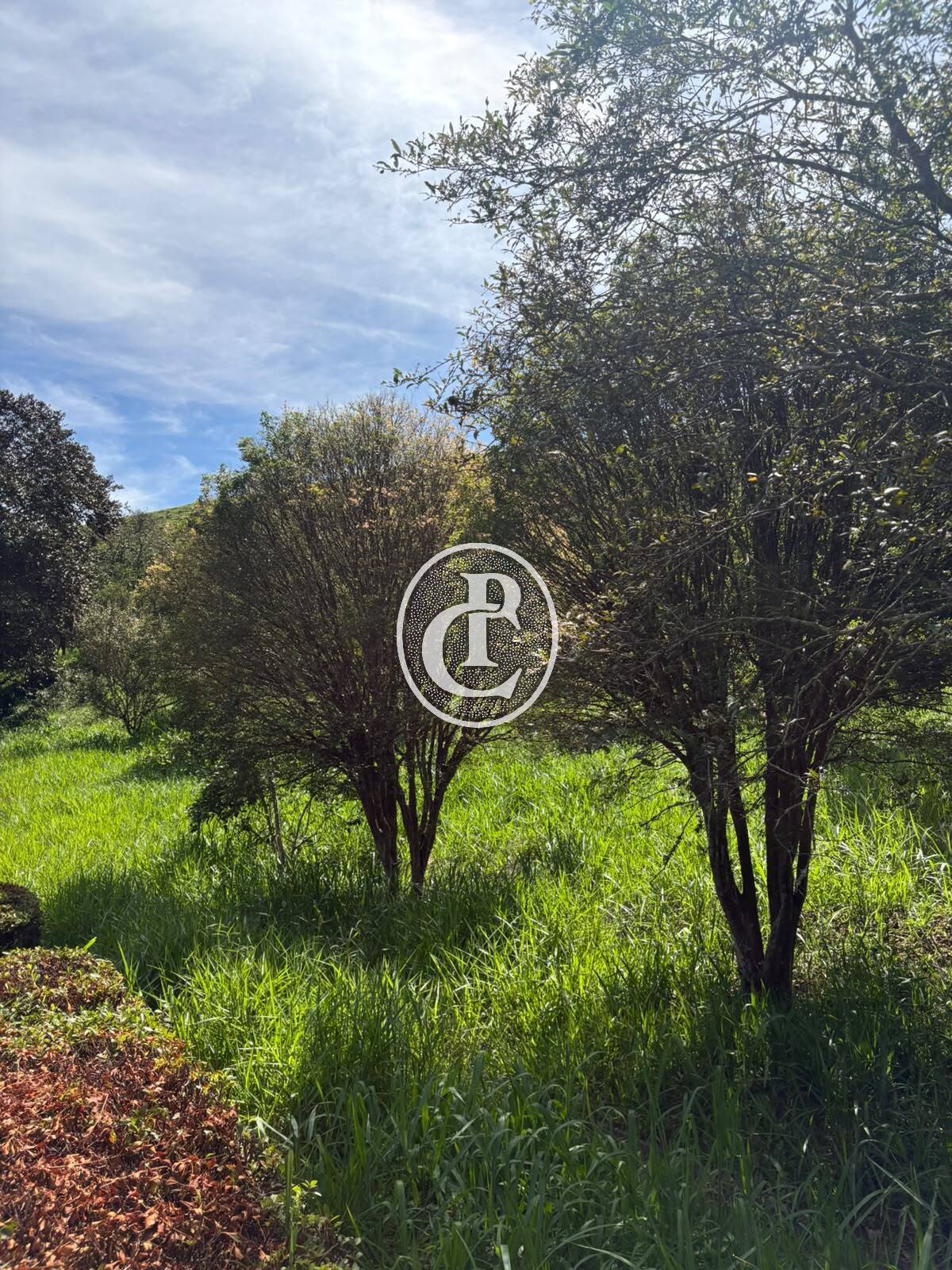 Fazenda, 84 m² - Foto 4