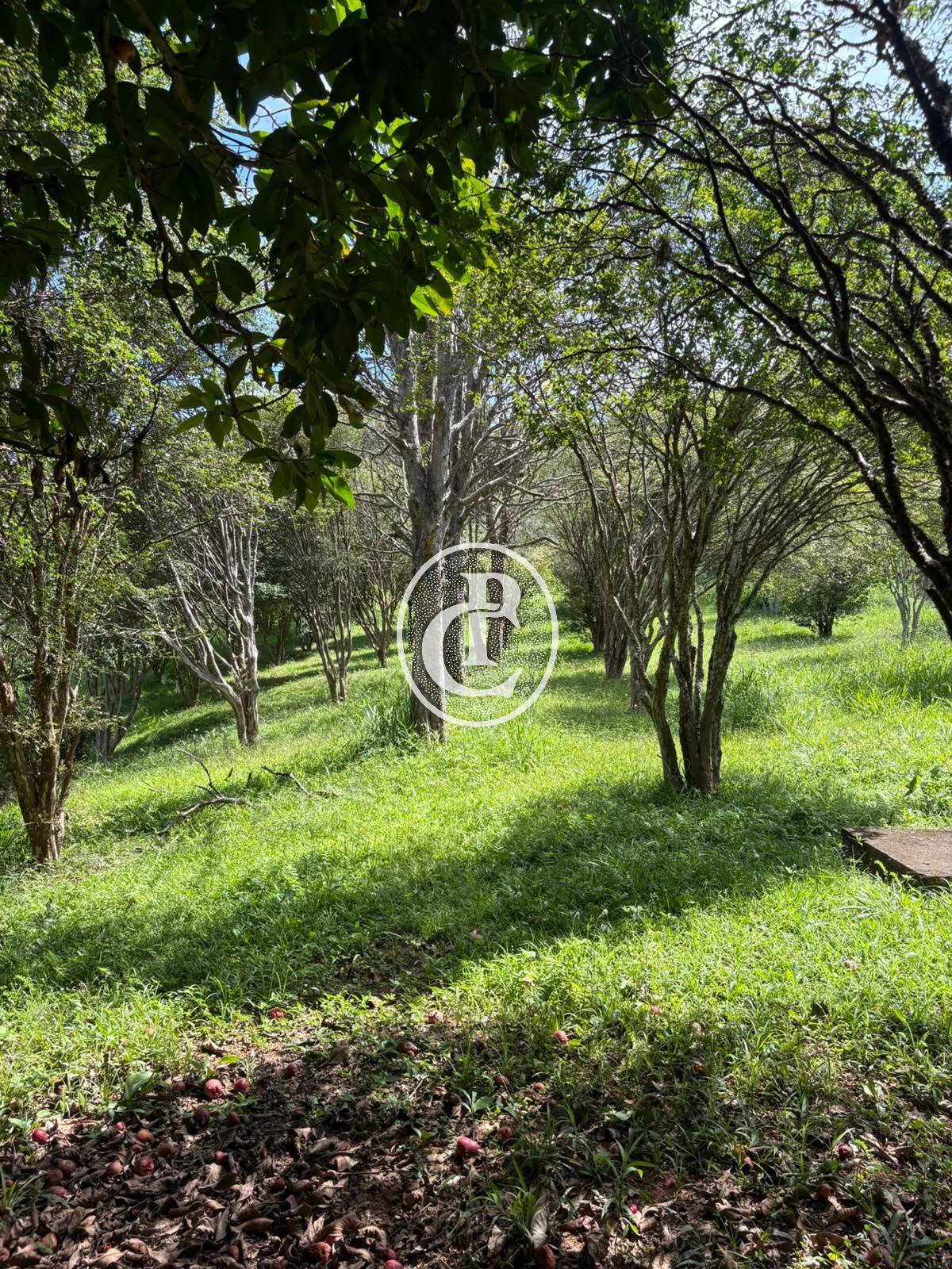 Fazenda, 84 m² - Foto 30