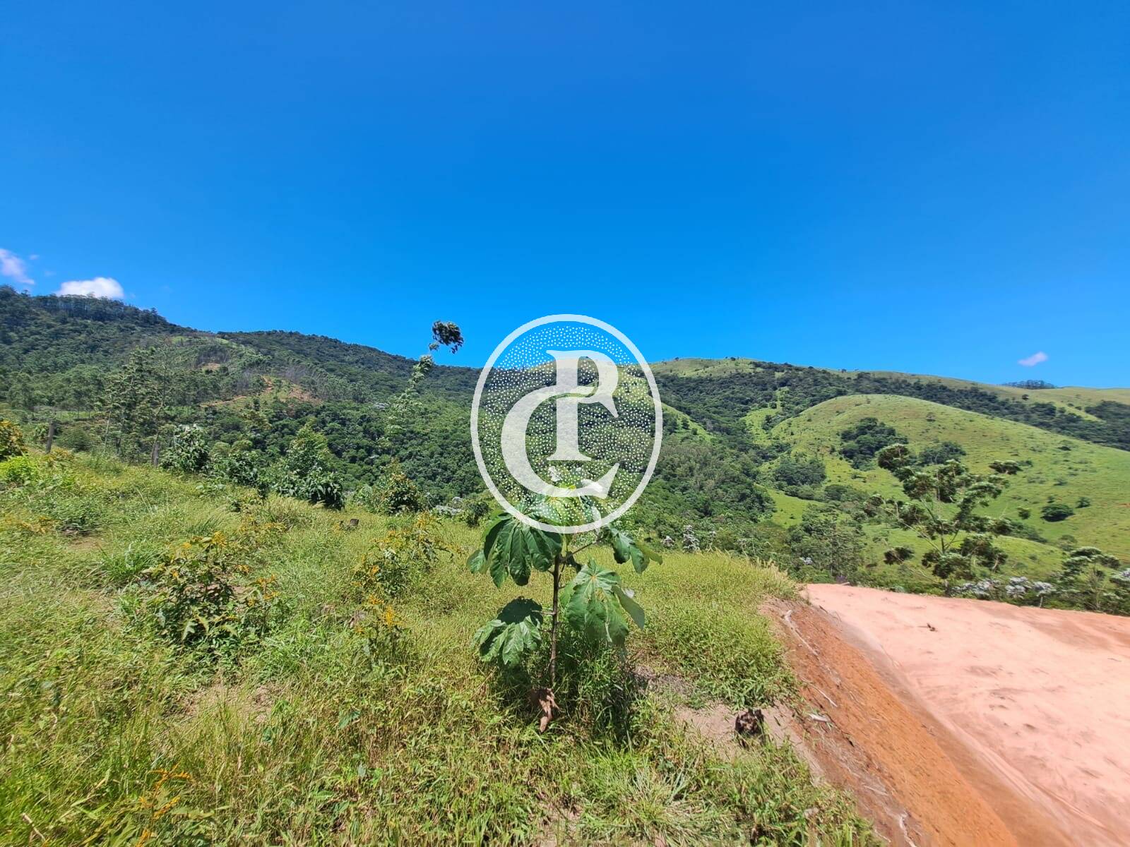 Terreno, 3 hectares - Foto 13