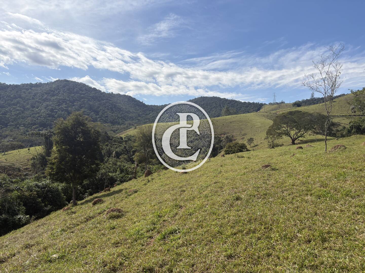Terreno, 12 hectares - Foto 3