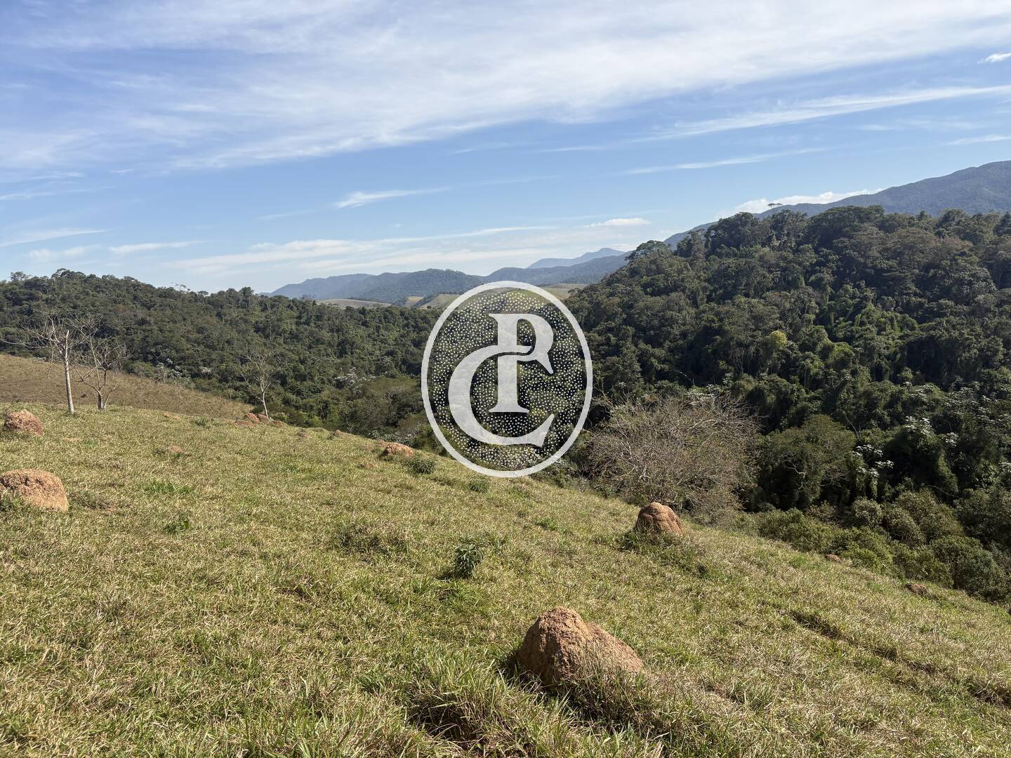 Terreno, 12 hectares - Foto 4