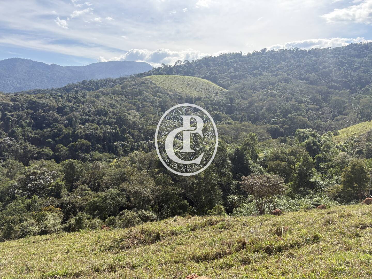 Terreno, 12 hectares - Foto 7