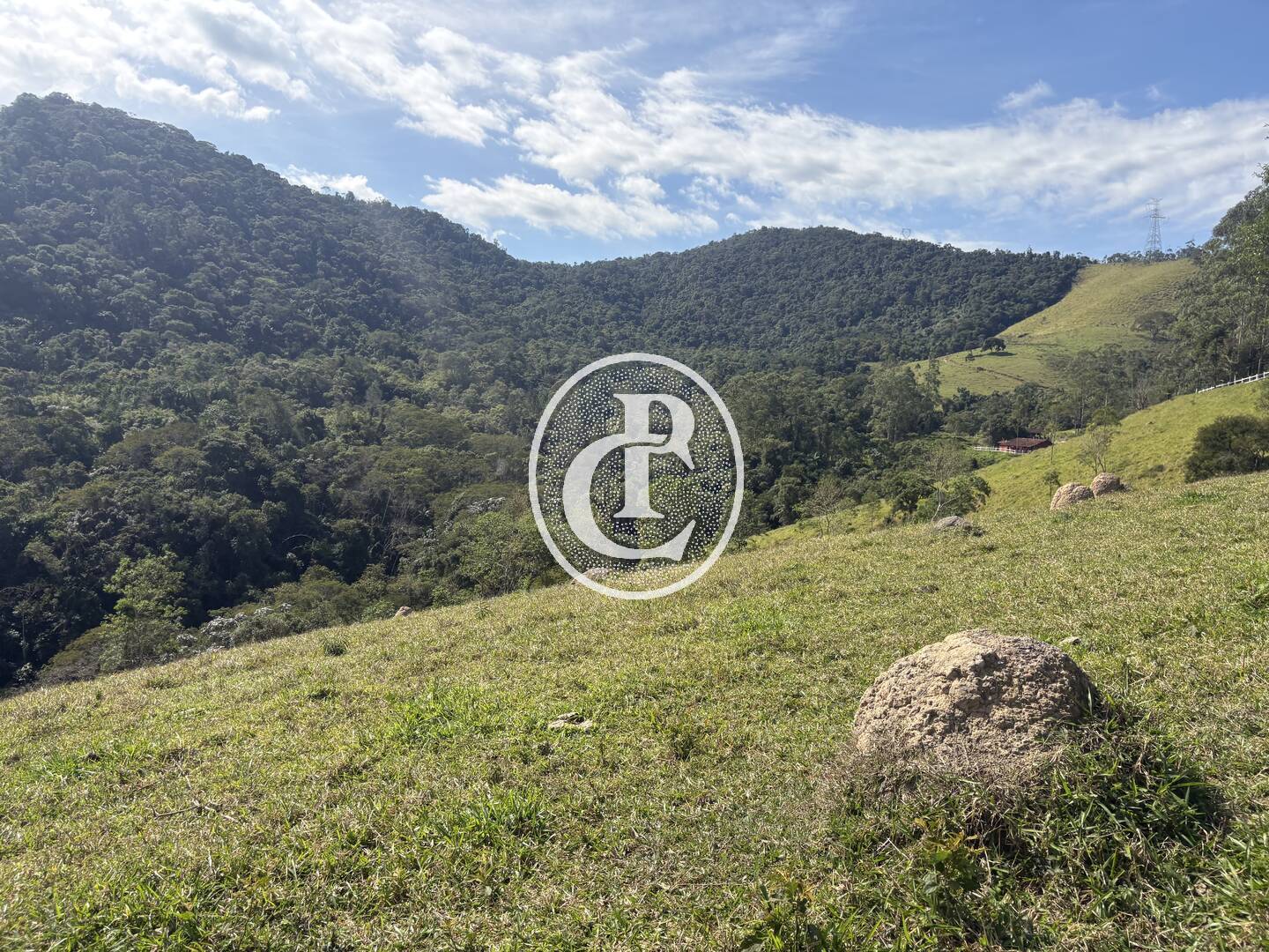 Terreno, 12 hectares - Foto 8