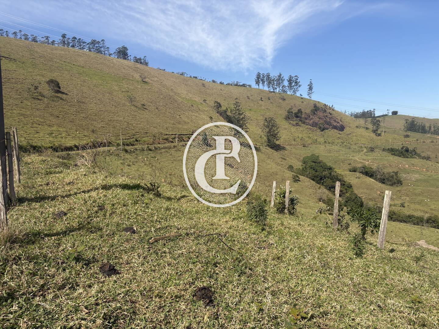 Terreno, 12 hectares - Foto 9