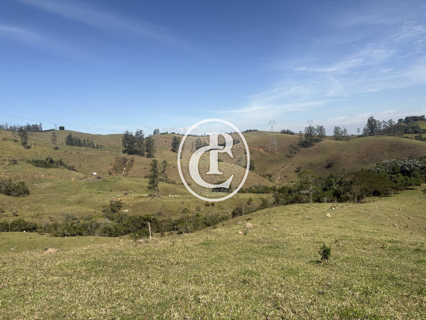 Terreno, 12 hectares - Foto 11