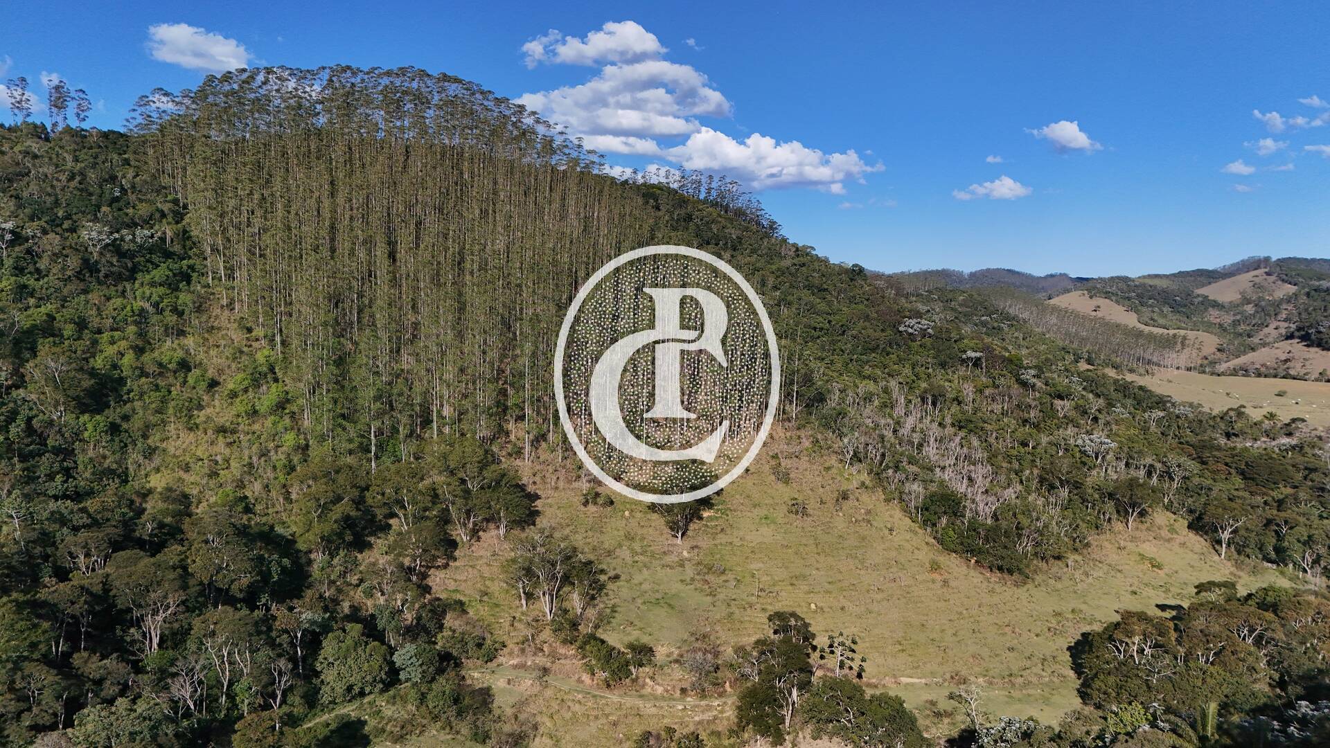 Fazenda, 13 hectares - Foto 10