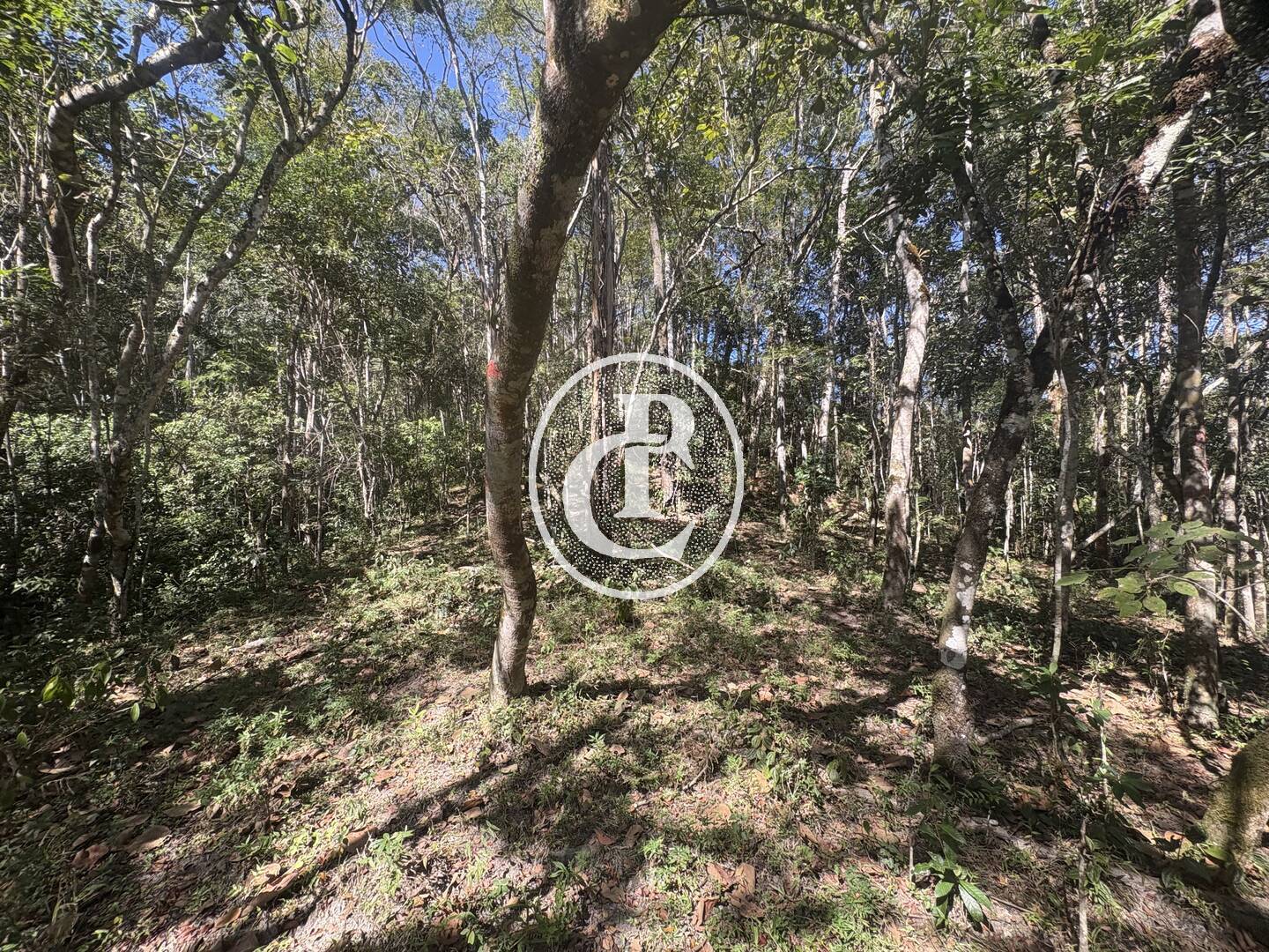 Casa, 20 m² - Foto 19