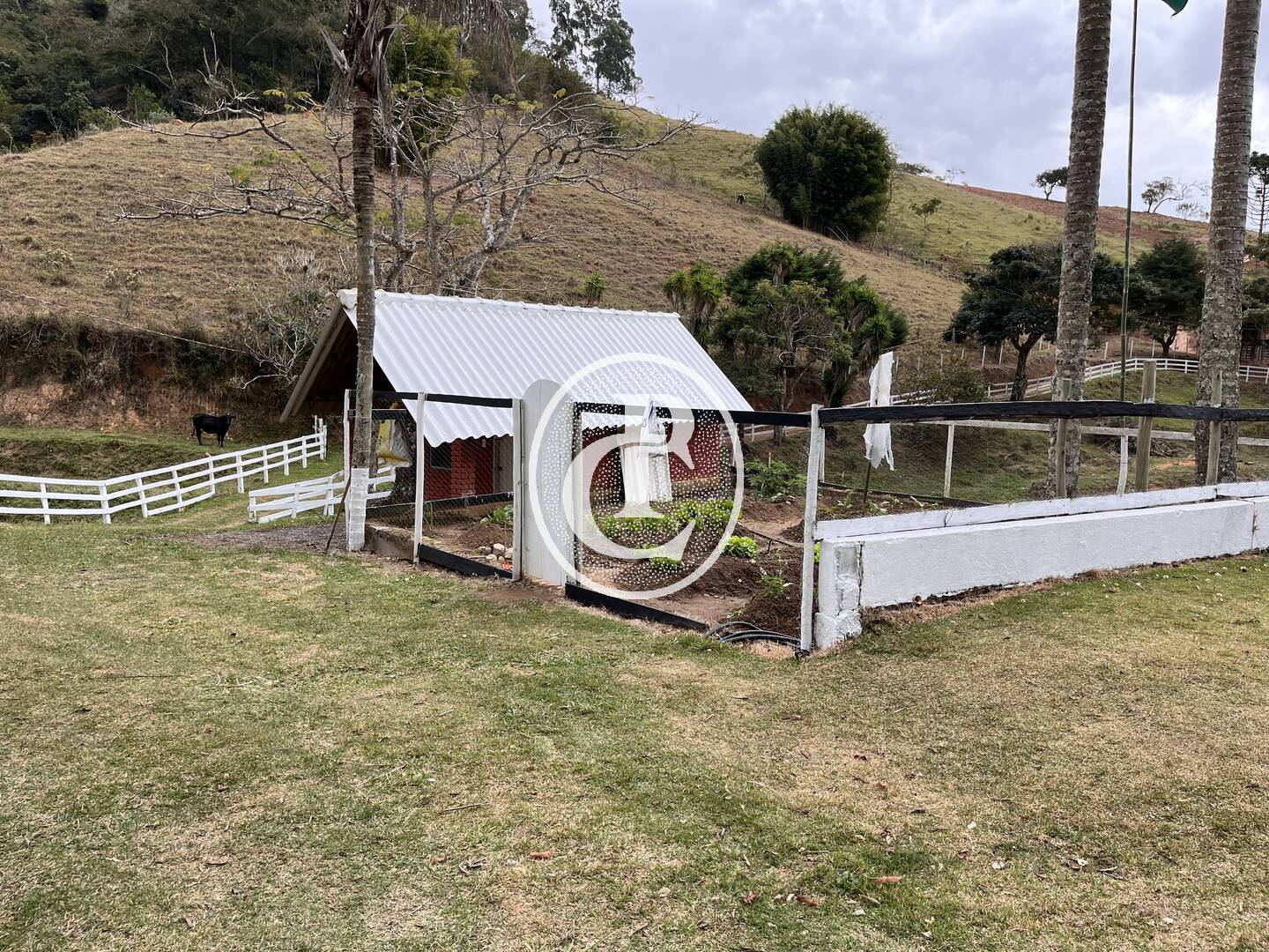 Sítio, 2 quartos, 7 hectares - Foto 3