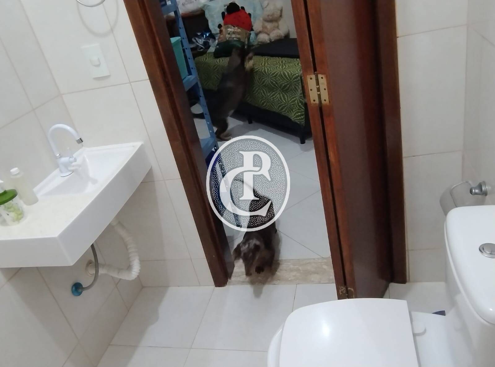Casa, 2 quartos, 360 m² - Foto 8