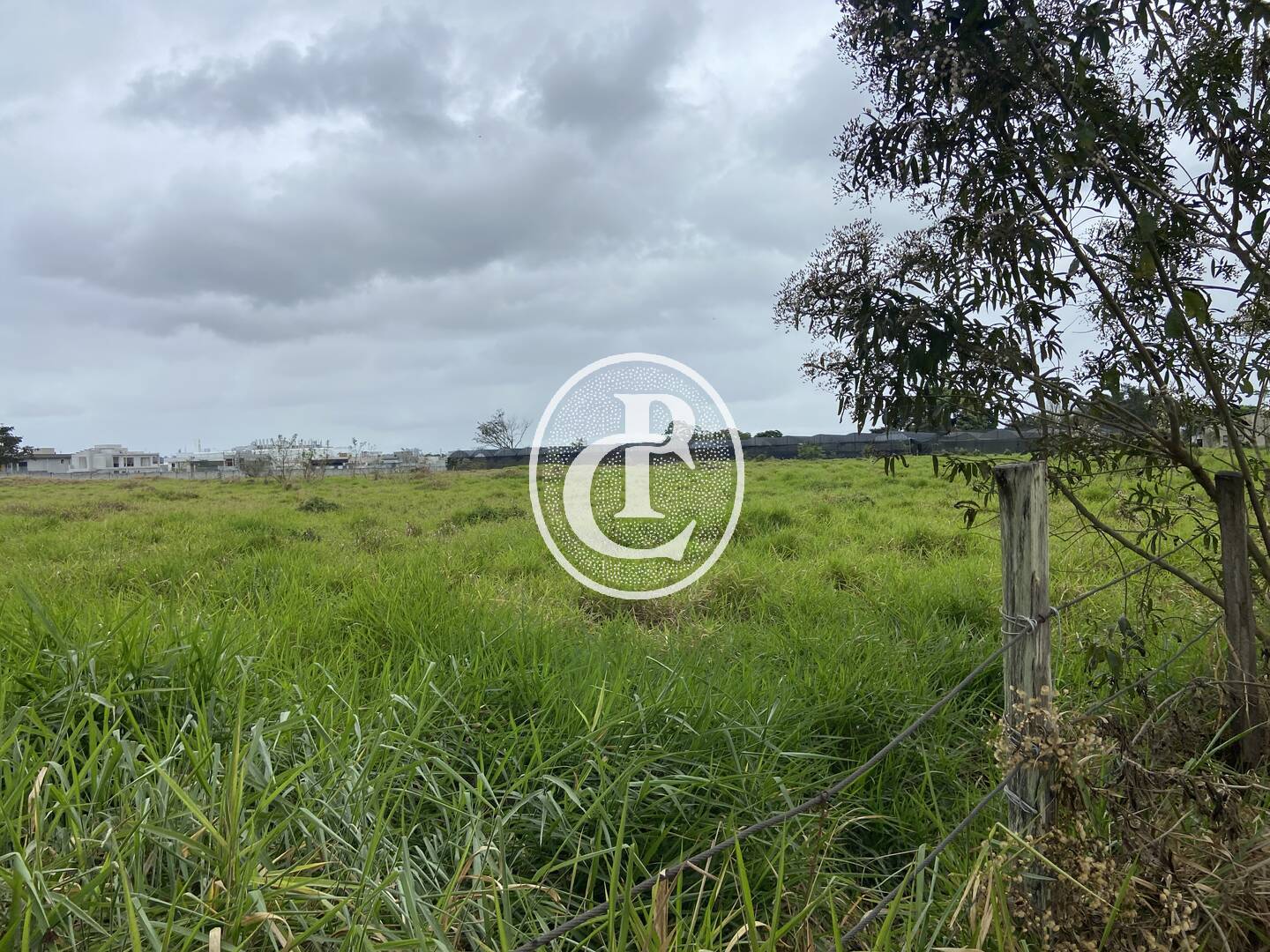 Terreno, 2 hectares - Foto 7
