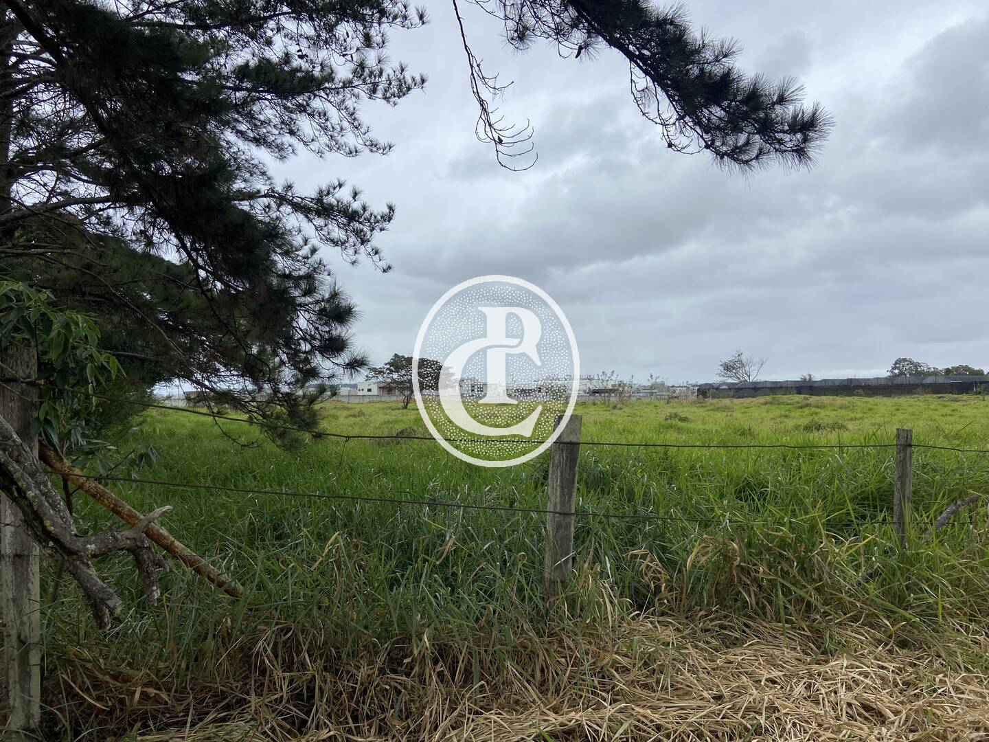 Terreno, 2 hectares - Foto 8