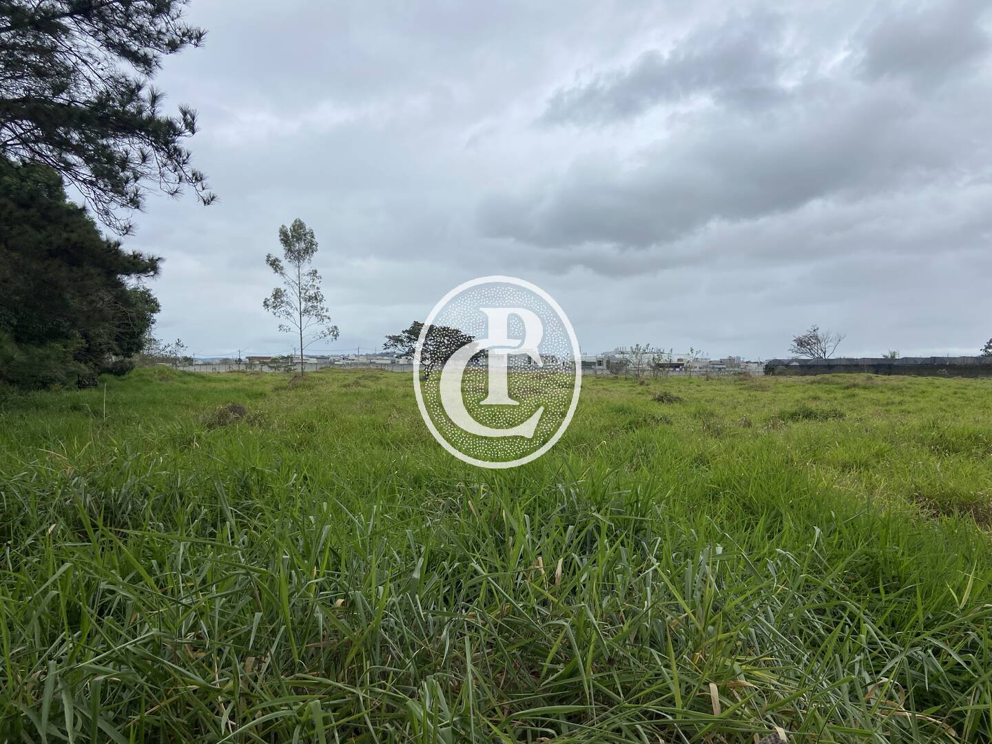 Terreno, 2 hectares - Foto 9