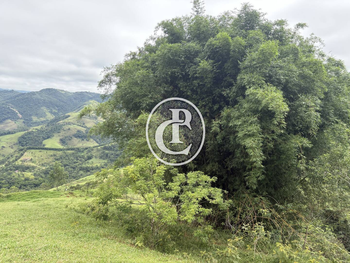 Terreno, 50 m² - Foto 6