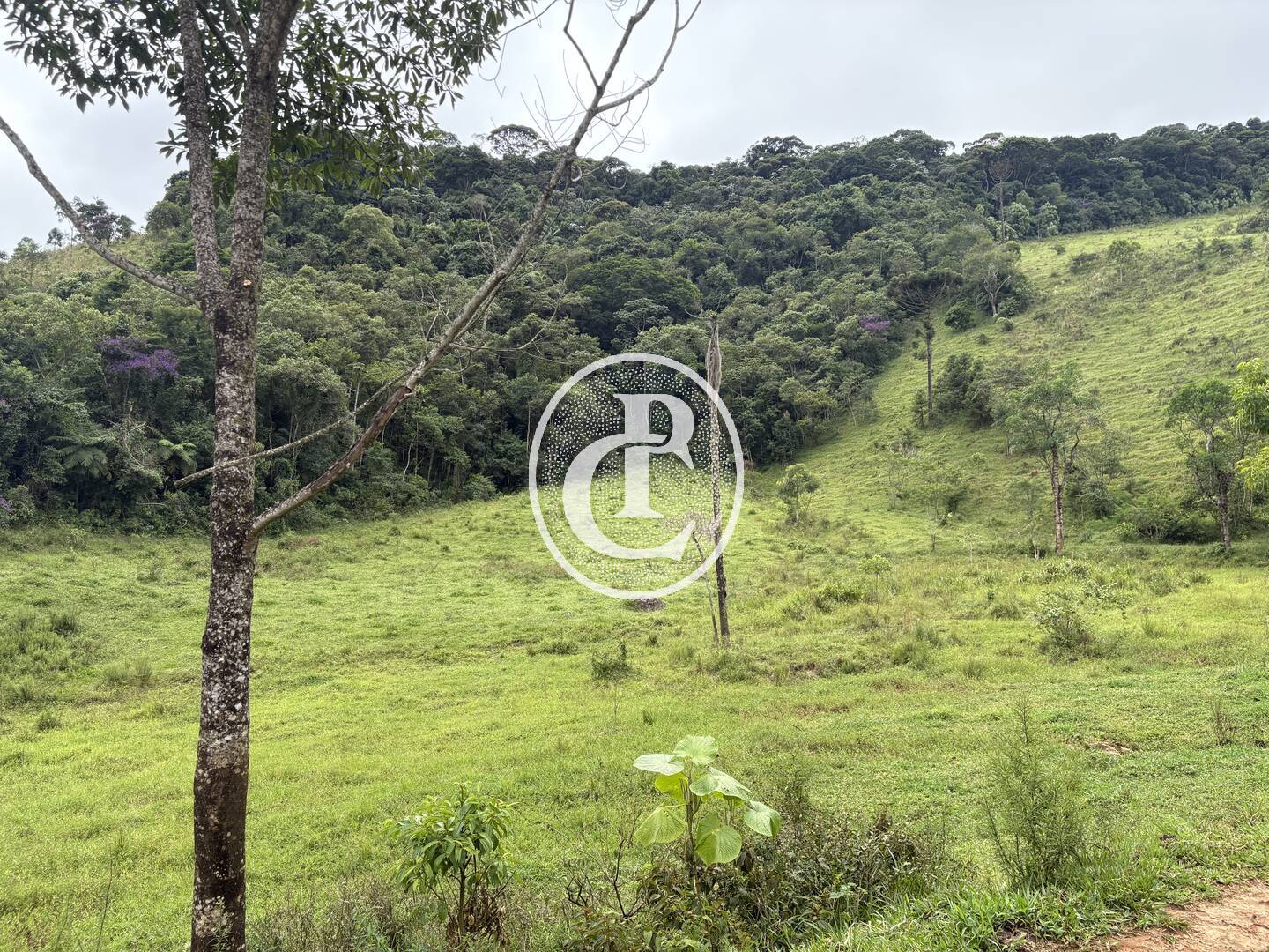 Terreno, 50 m² - Foto 4