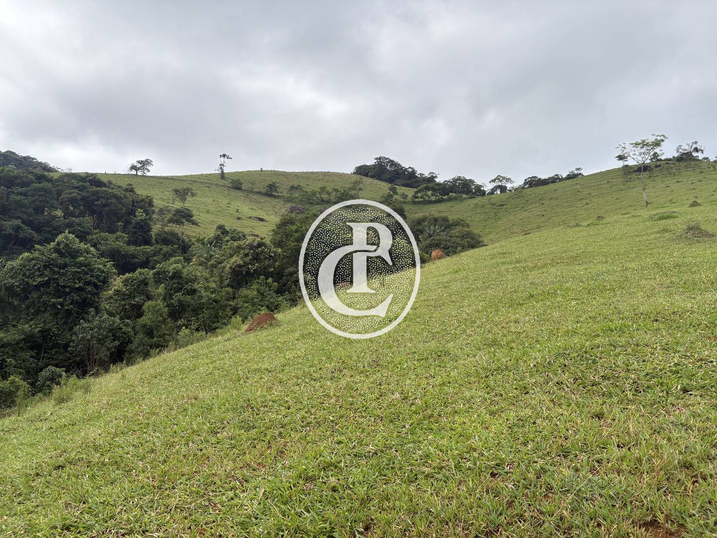 Terreno, 50 m² - Foto 10