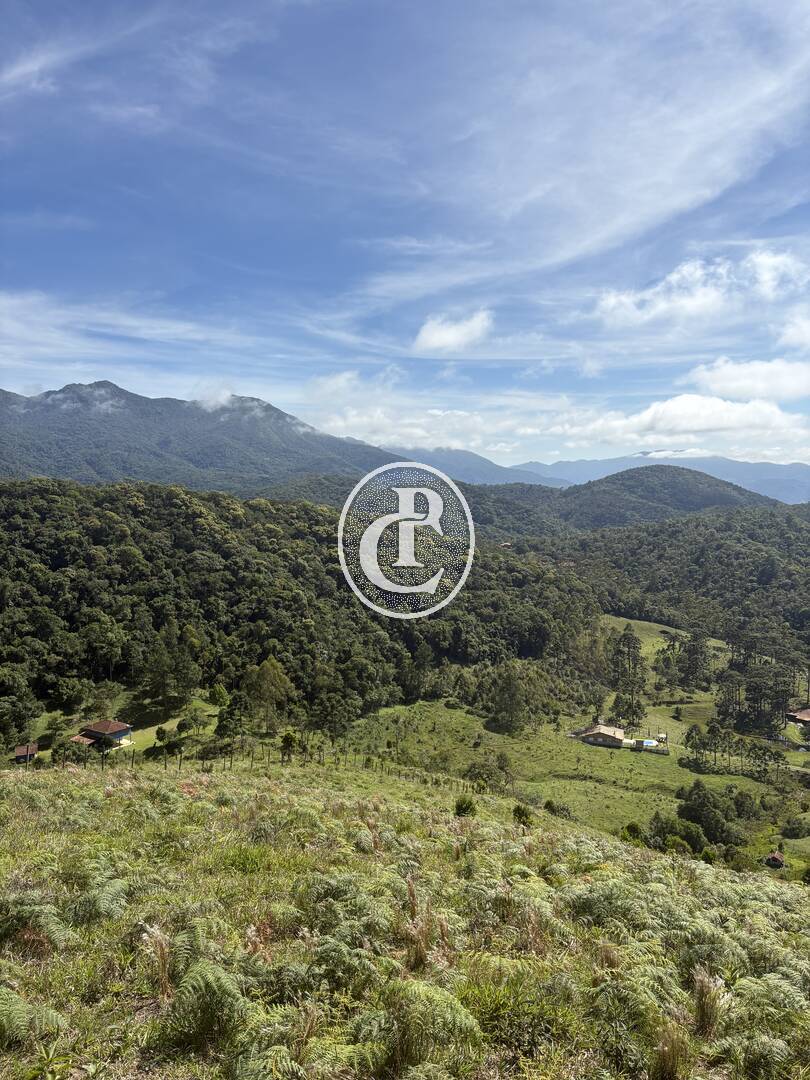 Terreno, 2 hectares - Foto 4