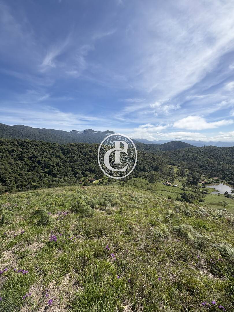 Terreno, 2 hectares - Foto 7