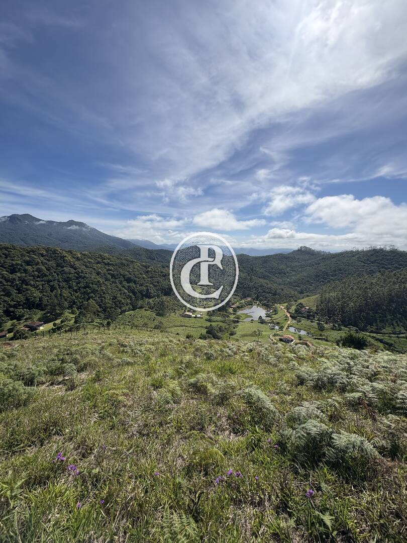 Terreno, 2 hectares - Foto 8