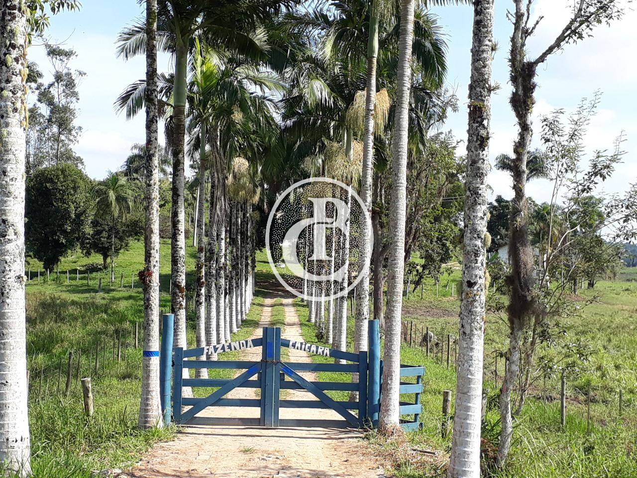 Fazenda, 436 m² - Foto 7