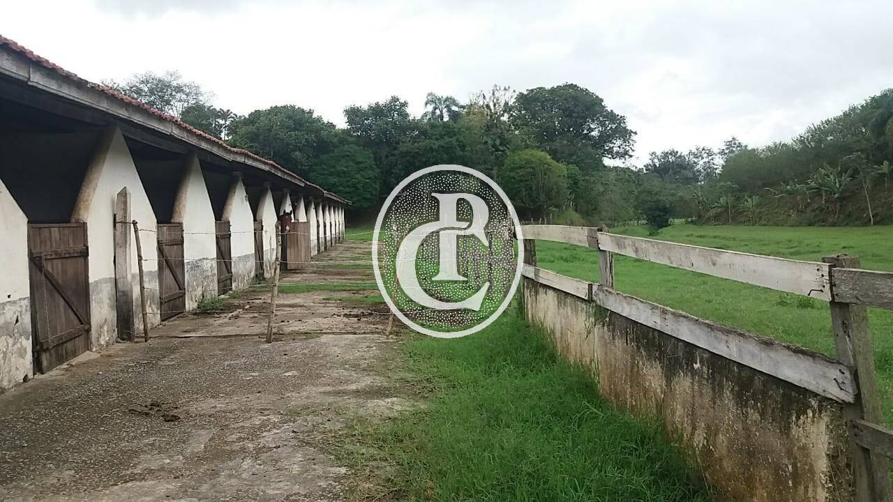 Sítio, 7 quartos, 580 m² - Foto 19