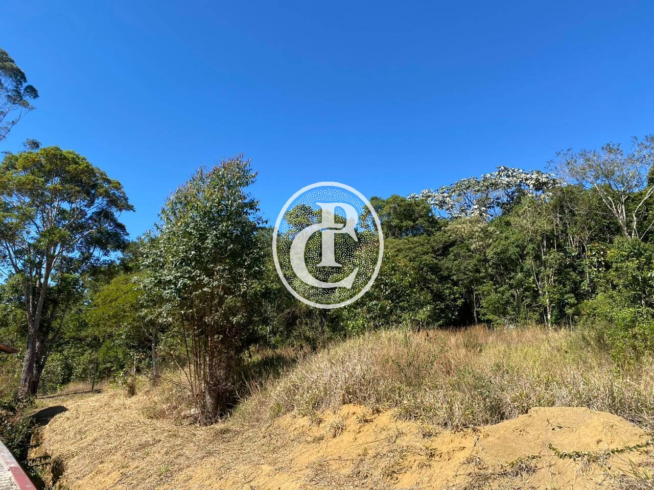 Sítio, 5 quartos, 2 hectares - Foto 8