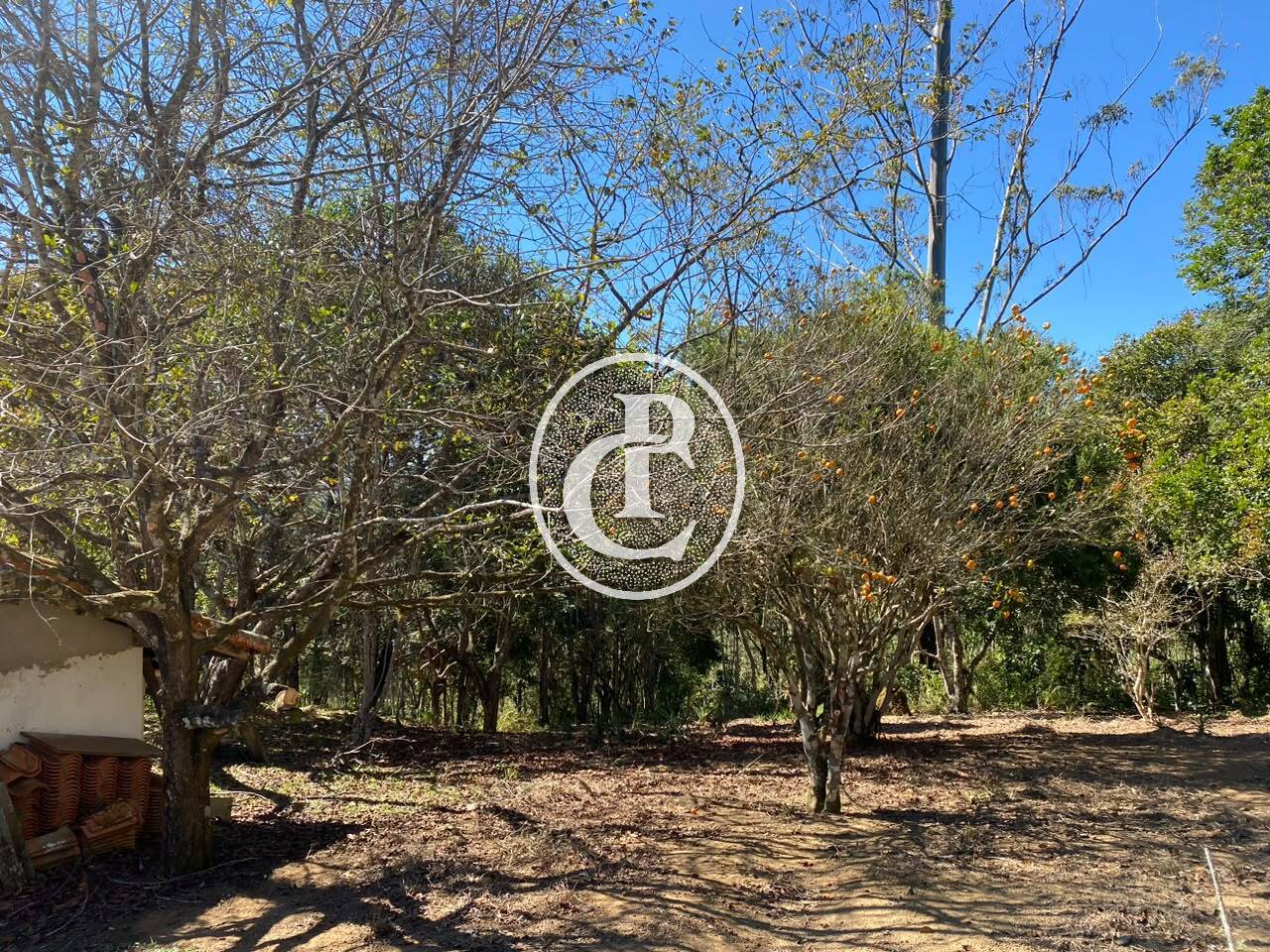 Sítio, 5 quartos, 2 hectares - Foto 12