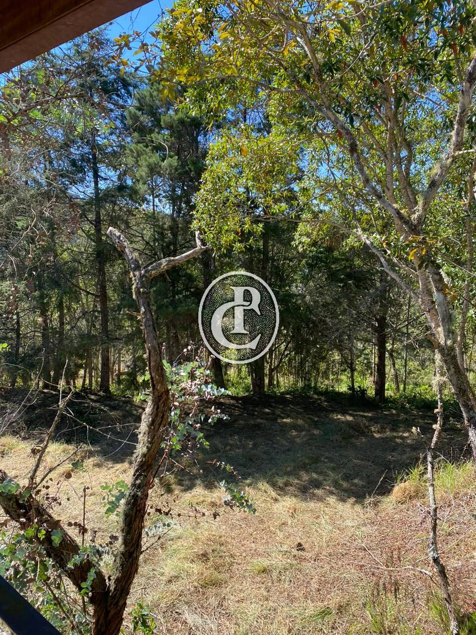 Sítio, 5 quartos, 2 hectares - Foto 35
