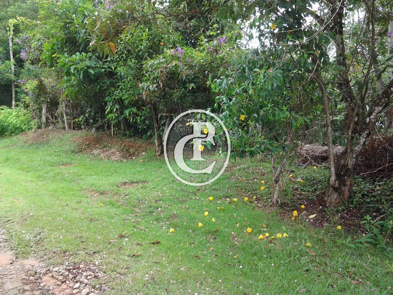 Casa, 4 quartos, 700 m² - Foto 16