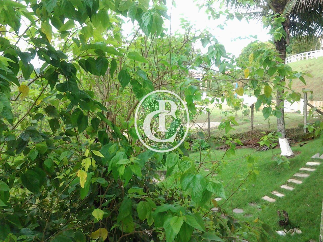 Casa, 4 quartos, 700 m² - Foto 32