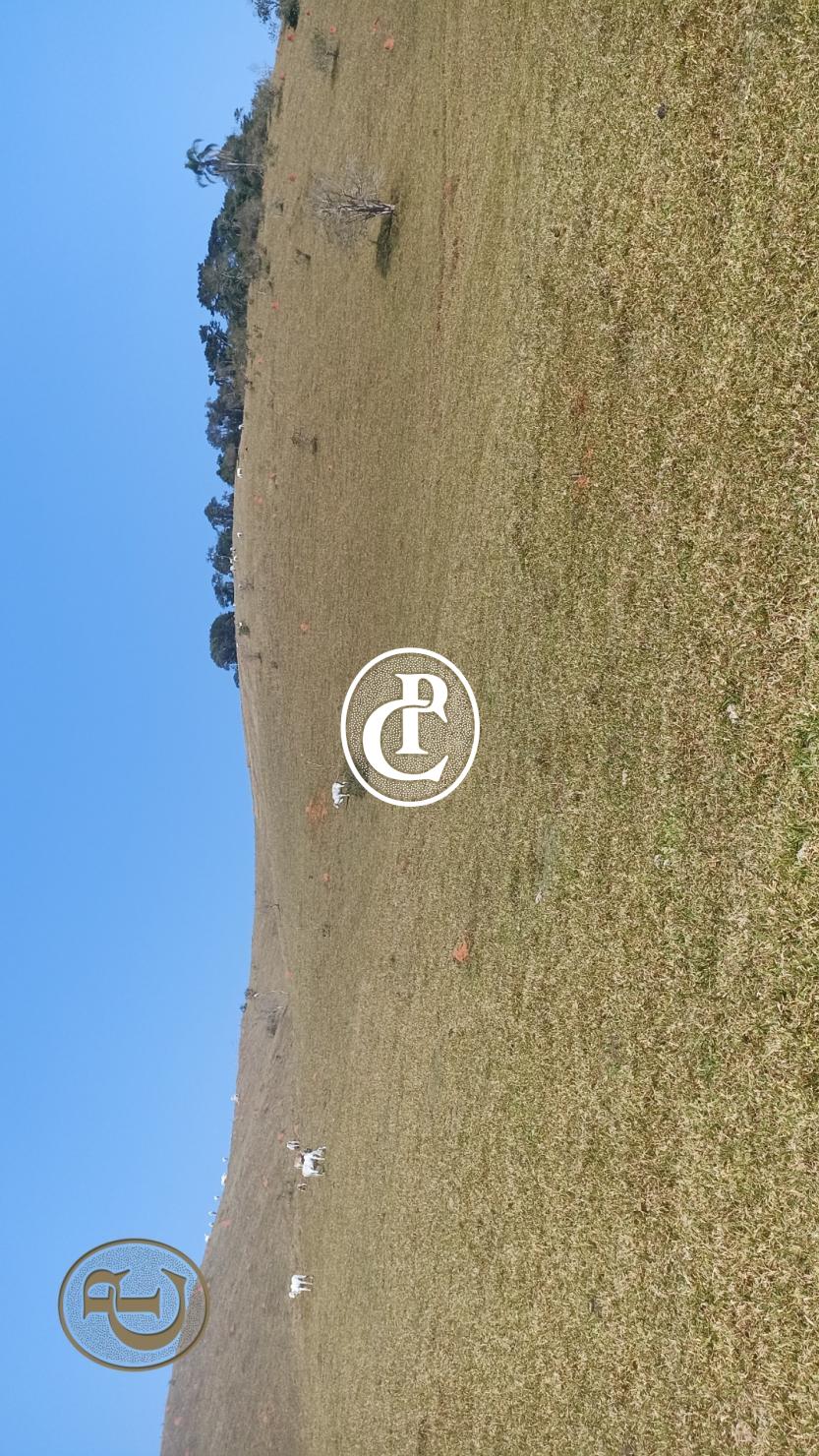 Terreno, 500 m² - Foto 10