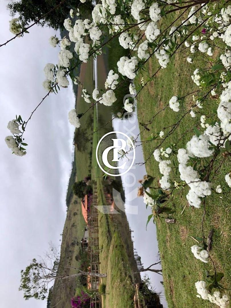 Fazenda-Sítio-Chácara, 400 m² - Foto 27