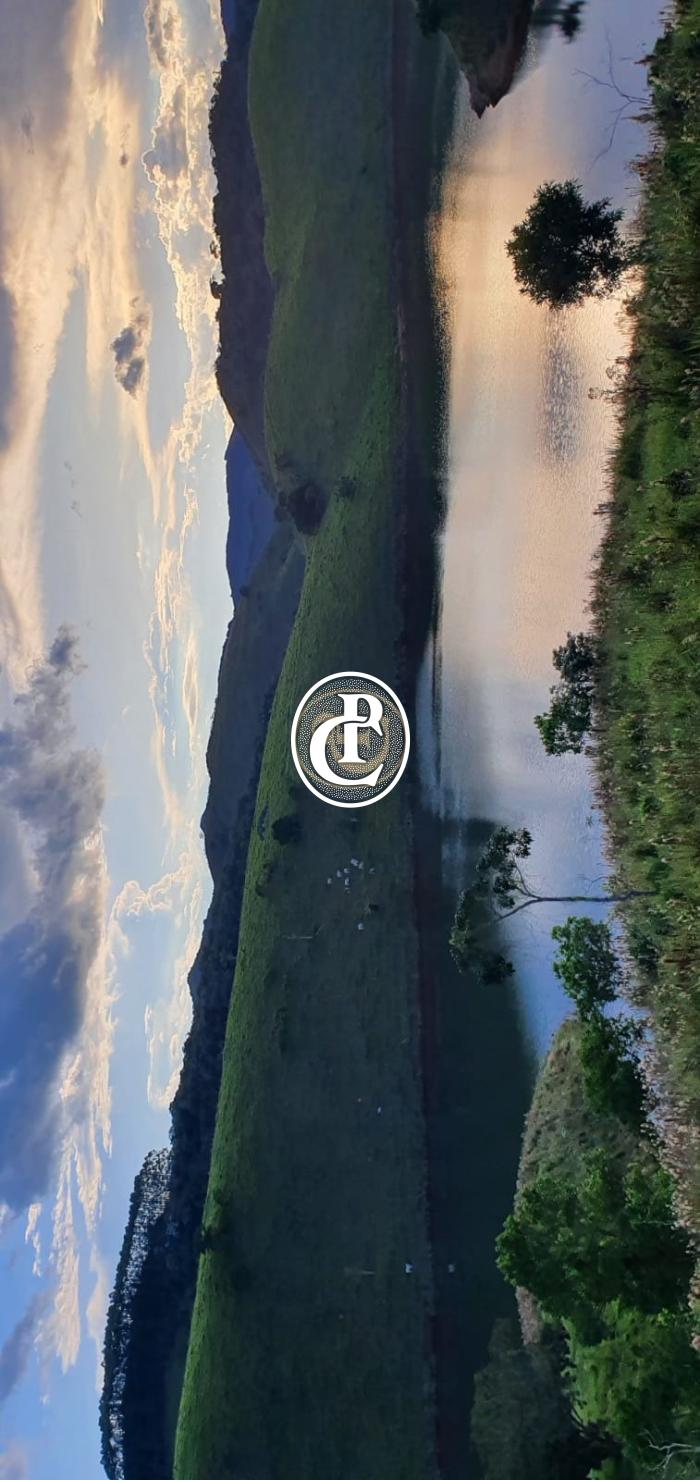 Fazenda-Sítio-Chácara, 400 m² - Foto 39