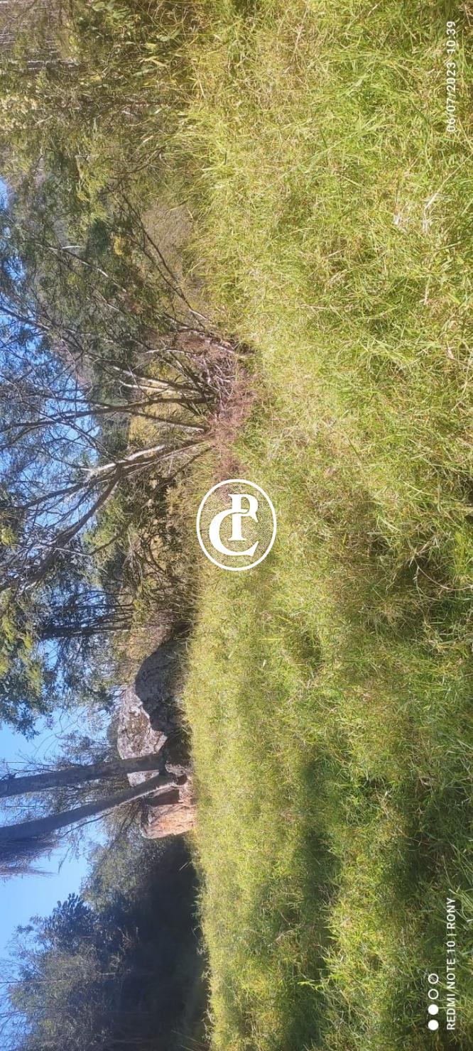 Fazenda, 200 m² - Foto 5